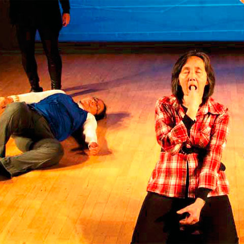 Working Lab Greenland - Video